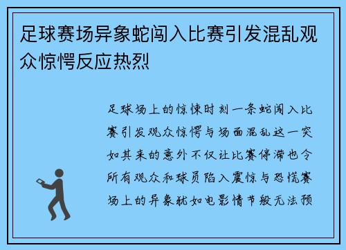 足球赛场异象蛇闯入比赛引发混乱观众惊愕反应热烈