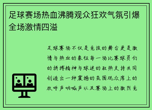 足球赛场热血沸腾观众狂欢气氛引爆全场激情四溢