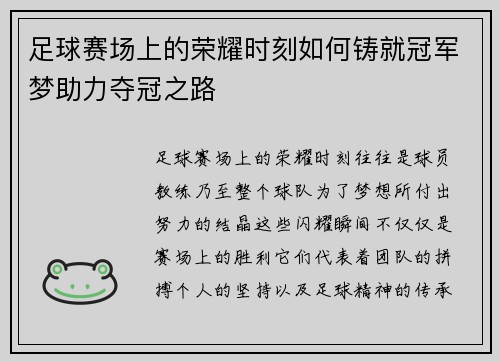 足球赛场上的荣耀时刻如何铸就冠军梦助力夺冠之路