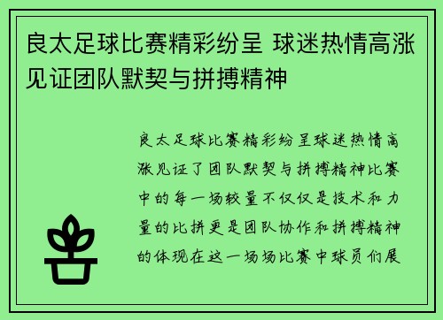 良太足球比赛精彩纷呈 球迷热情高涨见证团队默契与拼搏精神