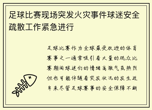 足球比赛现场突发火灾事件球迷安全疏散工作紧急进行