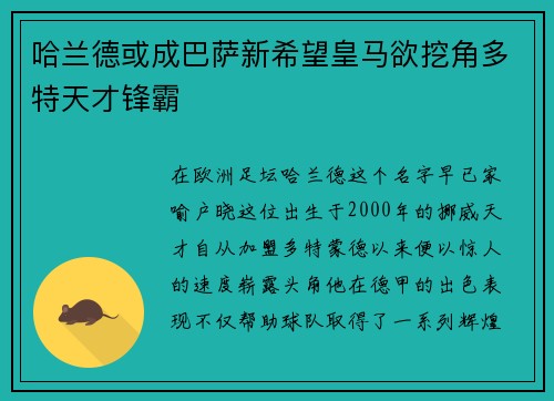 哈兰德或成巴萨新希望皇马欲挖角多特天才锋霸