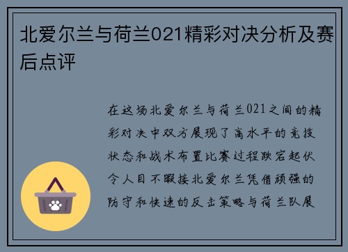 北爱尔兰与荷兰021精彩对决分析及赛后点评
