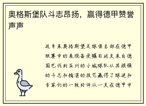 奥格斯堡队斗志昂扬，赢得德甲赞誉声声
