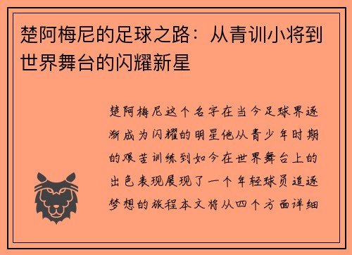 楚阿梅尼的足球之路：从青训小将到世界舞台的闪耀新星
