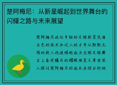 楚阿梅尼：从新星崛起到世界舞台的闪耀之路与未来展望