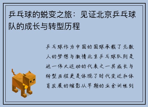 乒乓球的蜕变之旅：见证北京乒乓球队的成长与转型历程